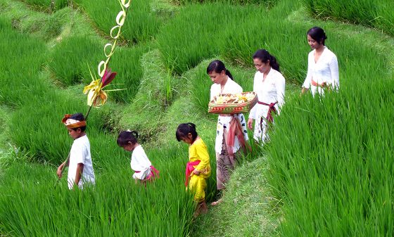 Populær Bali Rundrejse & Gili øerne