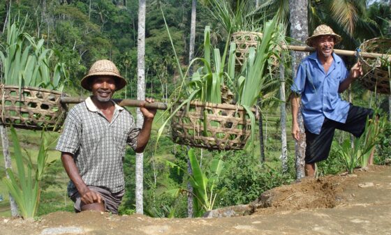 Populær Bali Rundrejse & Gili øerne