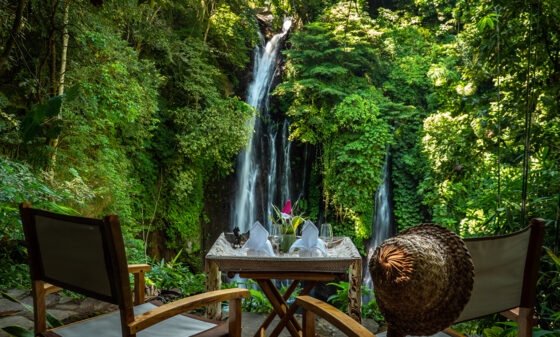 Natur, Kaffe & Romantik på Bali